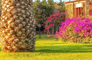 513921336_18519621445004613_6096864904318863217_n.jpeg 513921336_18519621445004613_6096864904318863217_n.jpeg