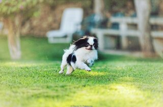 472135123_18484252678004613_5478355588627131846_n.jpeg 472135123_18484252678004613_5478355588627131846_n.jpeg