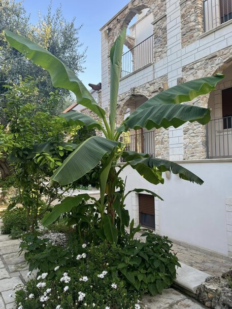 486516224_642472428534412_938256210625881146_n.jpeg 486516224_642472428534412_938256210625881146_n.jpeg