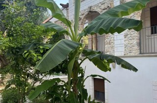 486400200_642472551867733_637210547658693084_n.jpeg 486400200_642472551867733_637210547658693084_n.jpeg