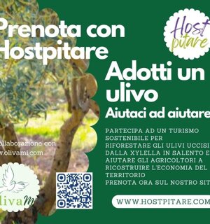 514002157_122186311436048229_427767502026193550_n.jpeg 514002157_122186311436048229_427767502026193550_n.jpeg