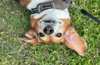 513891813_18519621427004613_7418766266270039453_n.jpeg 513891813_18519621427004613_7418766266270039453_n.jpeg