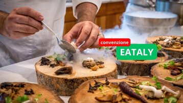 749c4697-d2d8-4ae9-8626-550d5a7c5a10