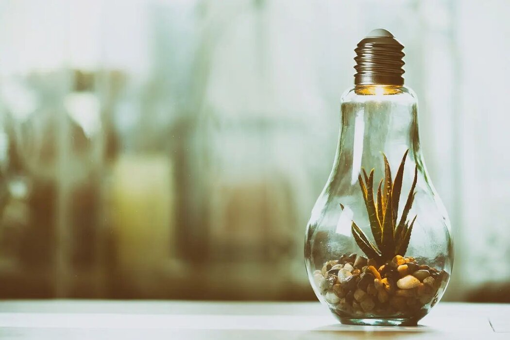 c06cda56-e79b-42ae-8a2a-525dc258e026 c06cda56-e79b-42ae-8a2a-525dc258e026