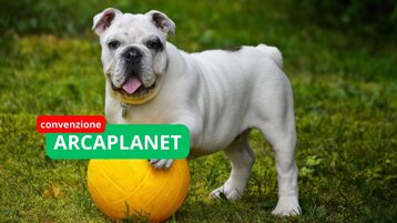 237f2833-e4a2-4fdc-926c-905d30126227