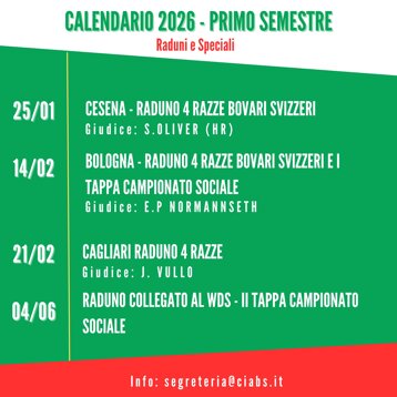 copia di calendario gare post instagram.jpeg