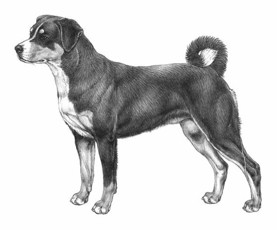 0d2fdcb2-7d01-48fb-9ef7-26afb9bfd2dd