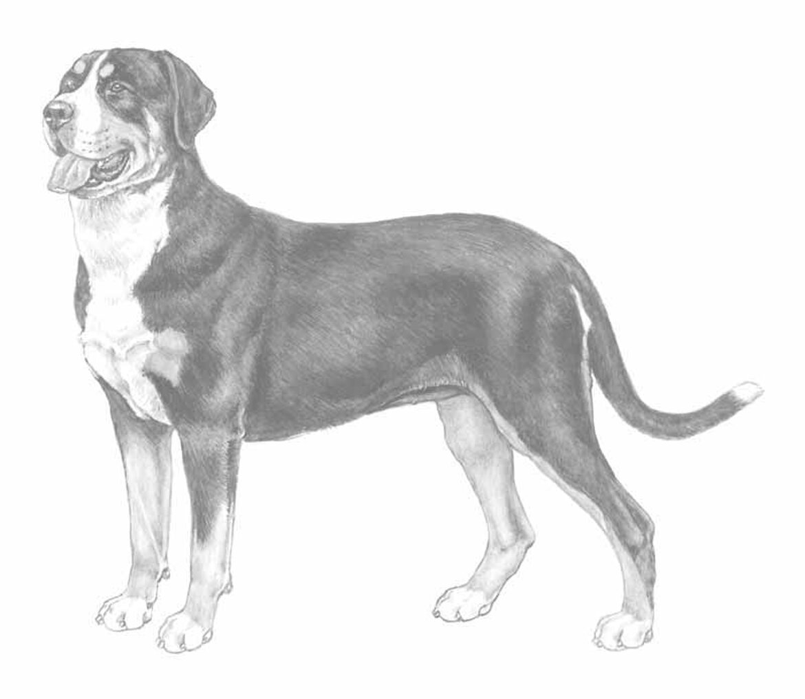 a5e15291-9a37-4e09-867f-a14a7a7b270f