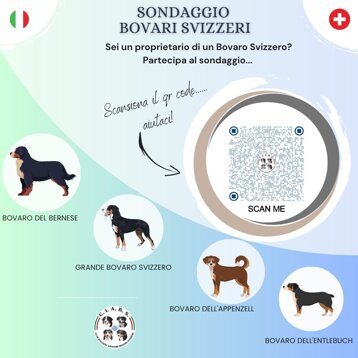 db819b46-4de9-43dc-9db4-dd35cf9c42e9