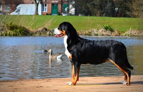 473c9919-ac21-4901-86f5-3aff7181a44d