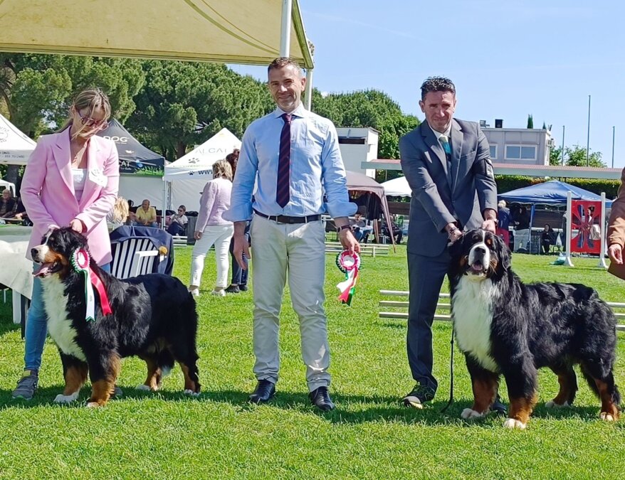 6f20d62e-5075-4a54-acbe-53eaba73b7c6