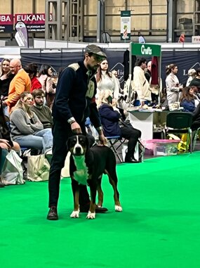 b8b0ea7c-f7ce-4db8-a930-34c57dc16467