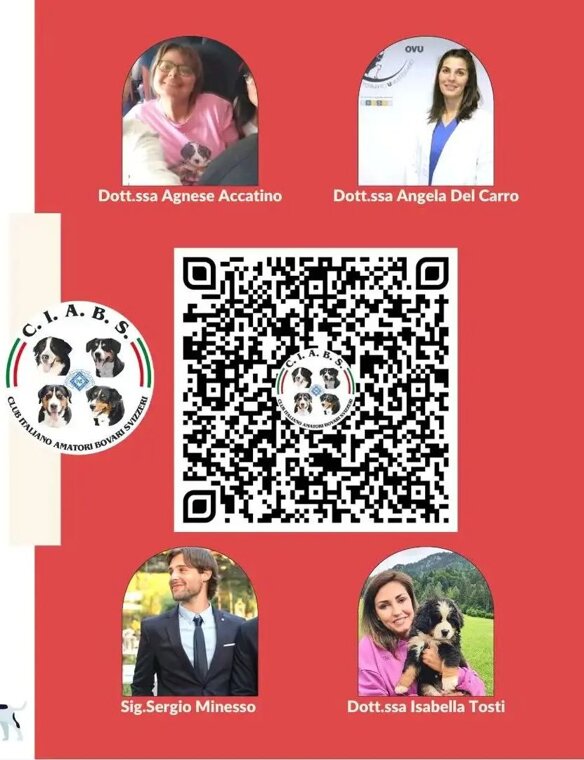 798a82a4-3361-4db1-b546-87f32d514197