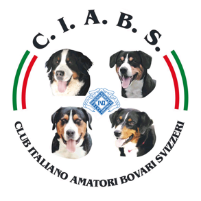 17d89b90-b189-4cde-bfbc-2c77a4d22c8b