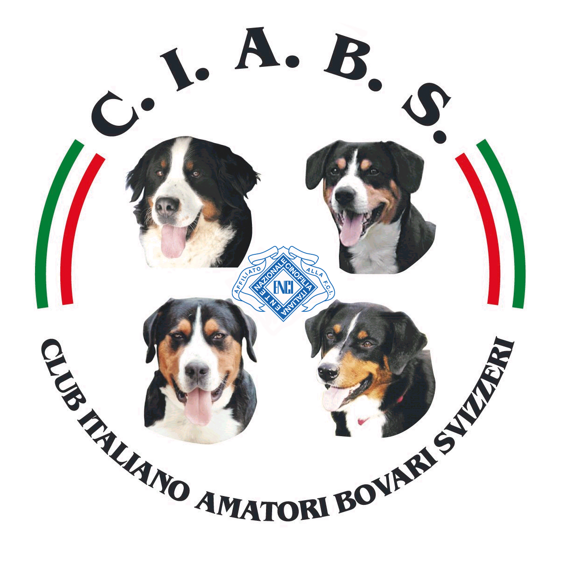 4167a17f-7d83-44a0-be0c-23bb47c8cbbb