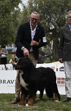 Open class Males RCAC