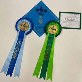 67abc822-c89c-4b09-912b-2e9cb634d4b2