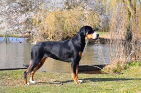 4e687b37-93c0-4abc-acfd-0b43ea4155bc