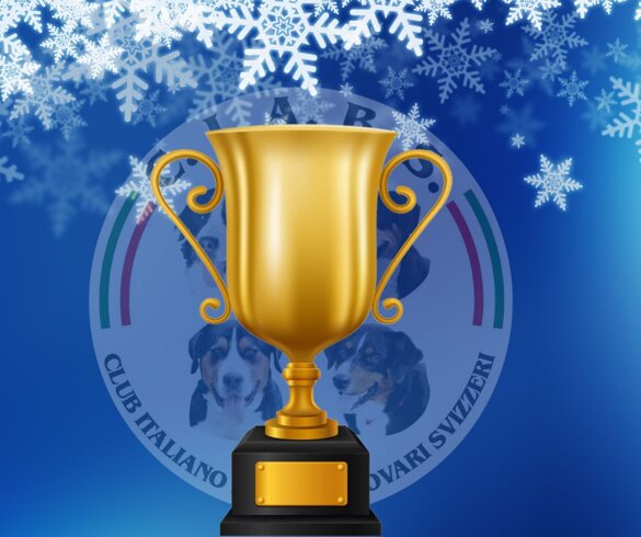 390ec4a4-dbfe-4d05-81ac-00b614b3215f