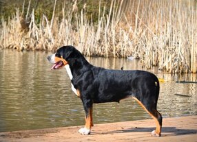 0feef4ba-65ea-418a-be4e-e4fdd3f14717