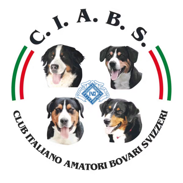 28bb3f41-9314-4d2a-ab99-32cd37474cdc