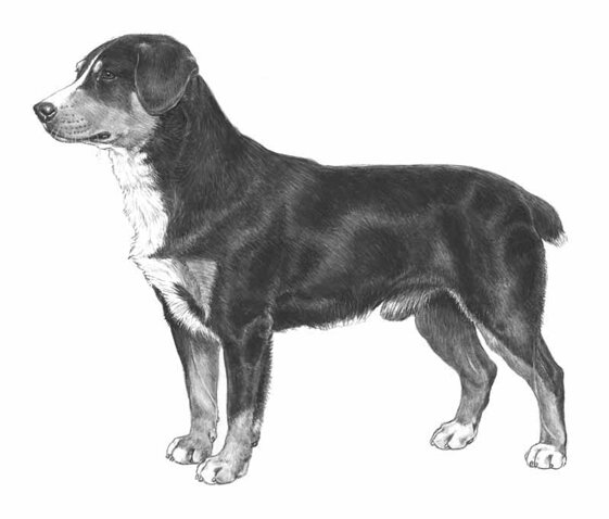 21ffed87-5541-4965-9d4d-b63e63f74f17