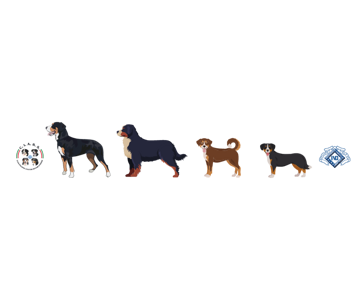 08a59a04-b371-4617-9cc0-11b35b314f48