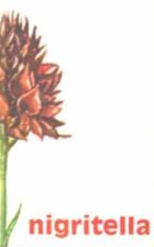 5770e9b6-c6ee-4304-b8c3-6c3405850ff4 5770e9b6-c6ee-4304-b8c3-6c3405850ff4