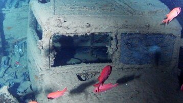 35b55955-93c5-470b-bff0-576d3bf85071