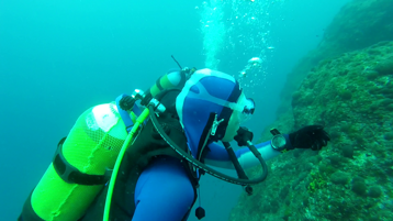 e6c3a49d-f1cb-4b7e-a56d-3435017cff2d