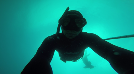 ffc88c42-bdda-4887-97c4-171002df2611