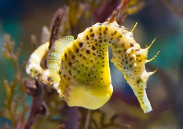 bee1826c-331b-46f2-854e-75988b797920 bee1826c-331b-46f2-854e-75988b797920