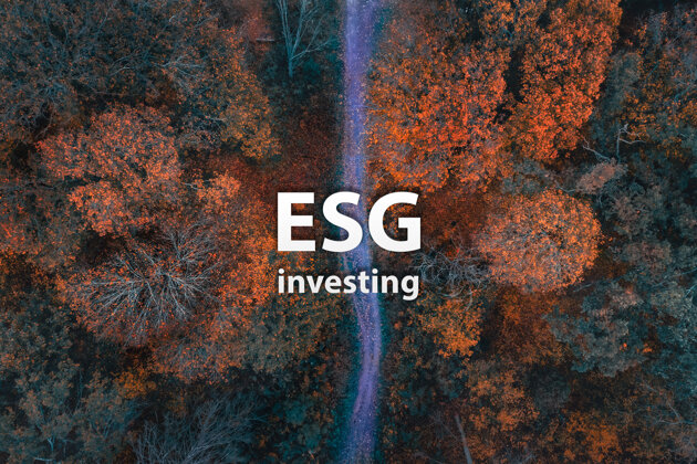 aaa39f14-6b4d-4159-bd26-fec6900b4b8b.jpeg aaa39f14-6b4d-4159-bd26-fec6900b4b8b.jpeg