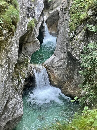 img_3366.jpeg img_3366.jpeg