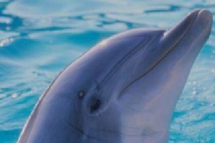 5771d249-34ce-4181-9604-b8ab96ca8a3b 5771d249-34ce-4181-9604-b8ab96ca8a3b