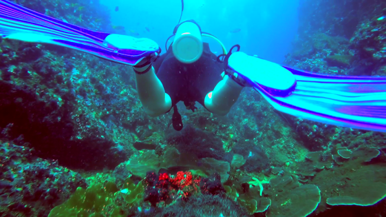 46e01c41-5aec-4412-a81c-e4c6c9fea92f 46e01c41-5aec-4412-a81c-e4c6c9fea92f