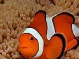 053113c1-654e-43e8-ab11-aea1f5b0d1d9 053113c1-654e-43e8-ab11-aea1f5b0d1d9