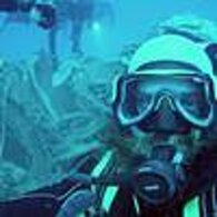 d3aca46b-c30d-455b-aa21-a9817134b7ae