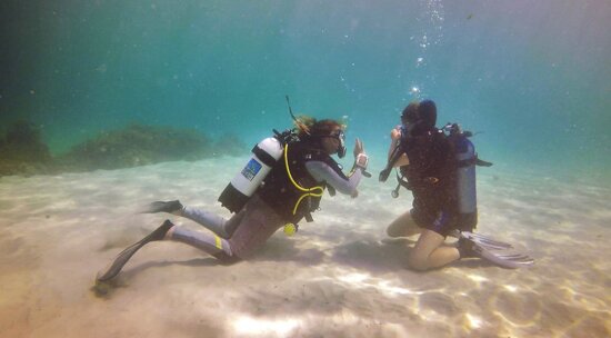 d873a24e-43e1-421d-a0db-9e35c438306d