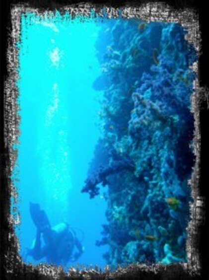 ab69856f-c066-4dc5-a4e7-1fa9ec316cac