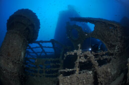 5938a58d-1374-48c0-88d5-c5a6430ed933 5938a58d-1374-48c0-88d5-c5a6430ed933