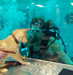 eb225f10-72ab-460e-a817-dca9ad3513e6 eb225f10-72ab-460e-a817-dca9ad3513e6