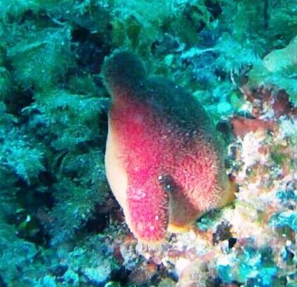 abc642e1-b716-4a50-a72c-f3907ced11c0 abc642e1-b716-4a50-a72c-f3907ced11c0