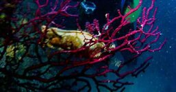 d3de16a9-d6fa-46a1-a07a-ea190658ef9a d3de16a9-d6fa-46a1-a07a-ea190658ef9a