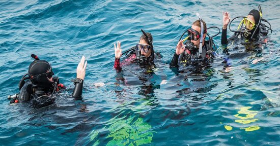 e767c3ce-ac23-4f3b-b2cd-0ebab02fd0d1