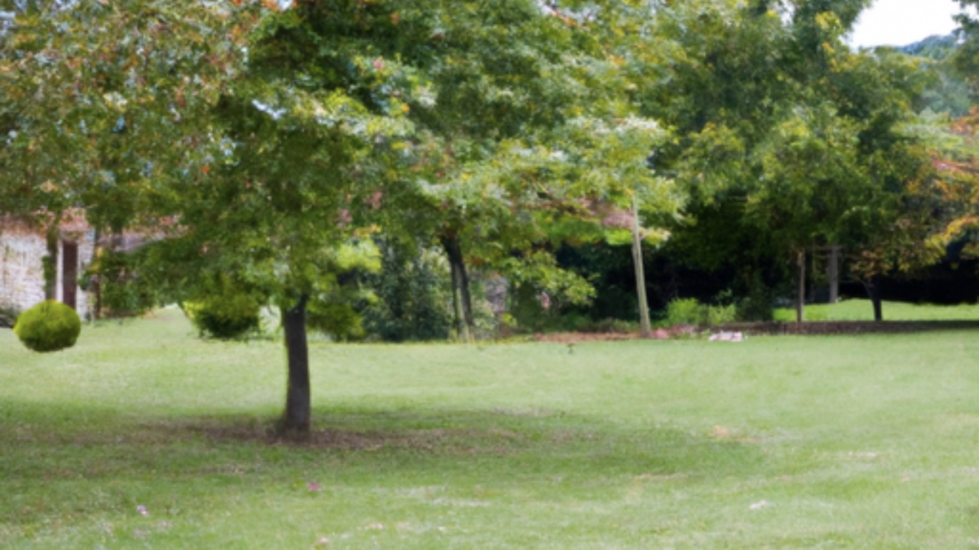 68998414-53a7-49b8-bd5e-41e773b5588b