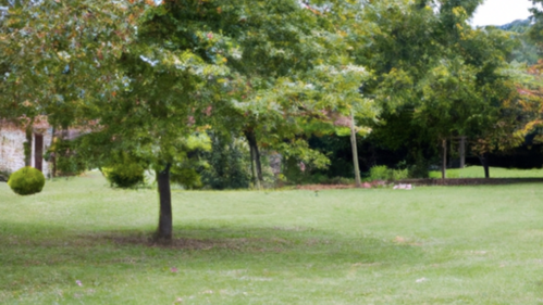 68998414-53a7-49b8-bd5e-41e773b5588b