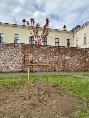 8e70924c-2a6e-4937-b79c-a3dafbb314a8