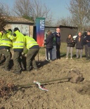 Posatura della Prima Pianta