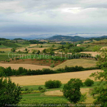 Una vallata di Grana rivolta a Moncalvo